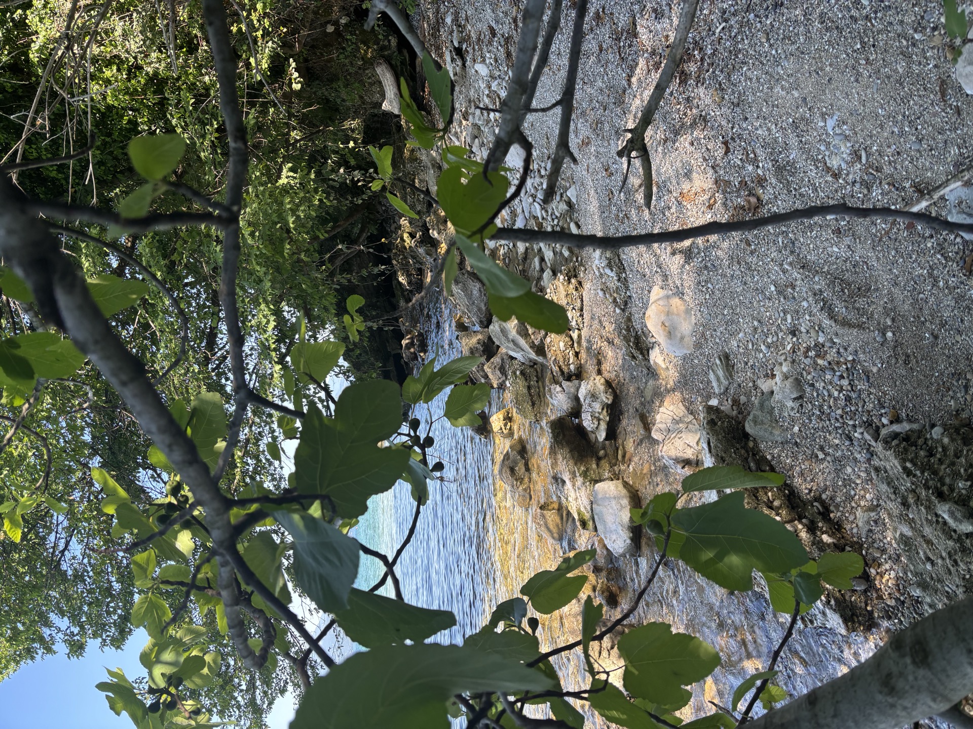 Paesaggio lacustre
